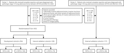 A nomogram based on CT intratumoral and peritumoral radiomics features preoperatively predicts poorly differentiated invasive pulmonary adenocarcinoma manifesting as subsolid or solid lesions: a double-center study